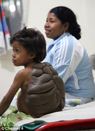 niño niño