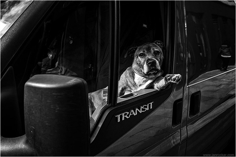 Compact Camera, Best Photo of the Day in Emphoka by Jan Rockar, Fujifilm X100S, https://flic.kr/p/nhHXkw Compact Camera, Best Photo of the Day in Emphoka by Jan Rockar, Fujifilm X100S, https://flic.kr/p/nhHXkw