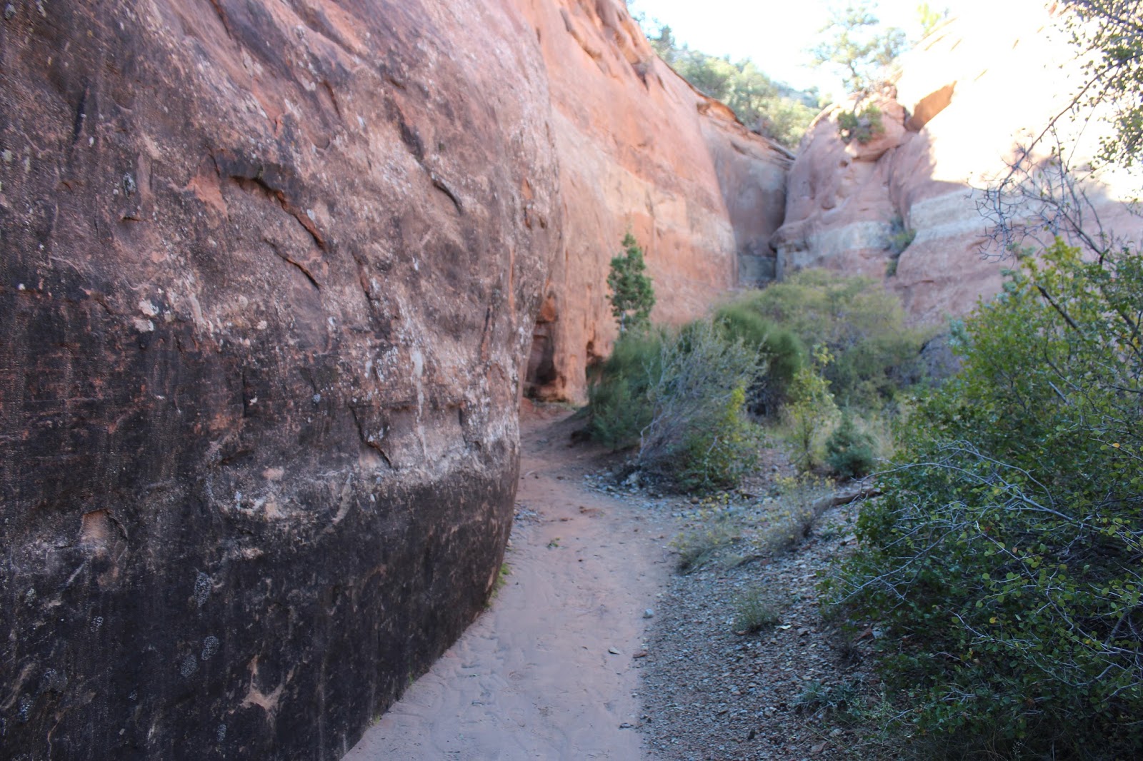 Alcove Nature Trail