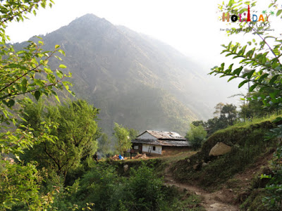 A home stay A home stay