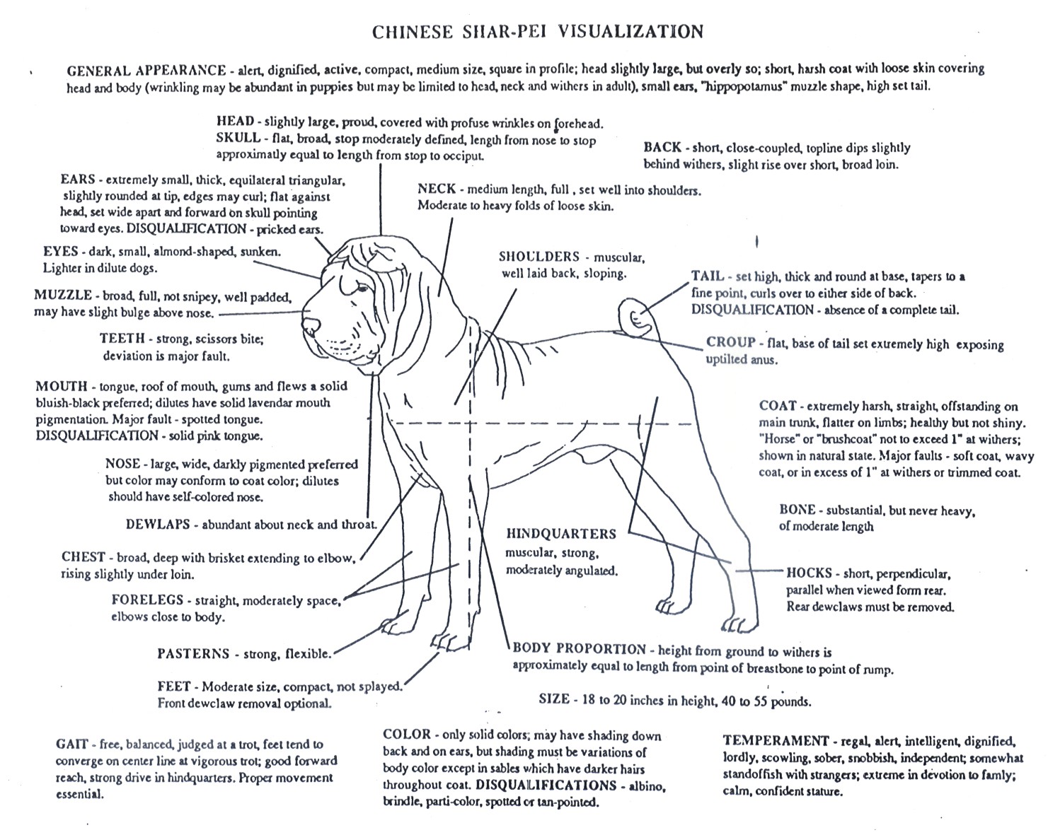 SHARPEI JELIĆ FCI STANDARD