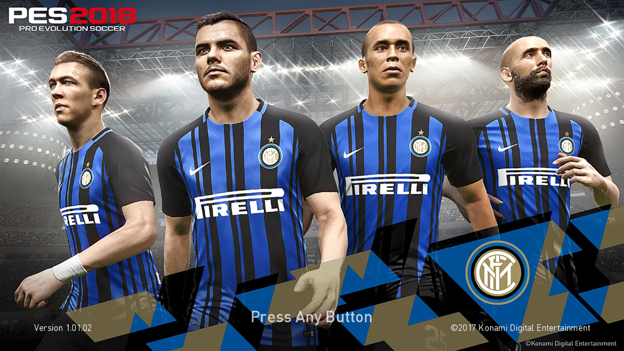 dt11 img pes 2013