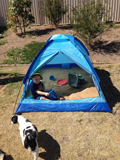 How Ti Cat Proof My Home How Ti Cat Proof My Home