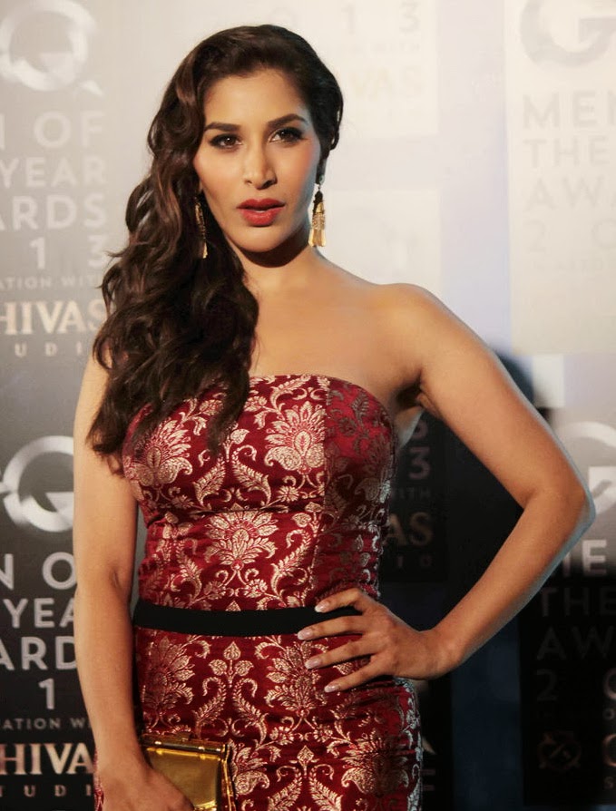 Sophie Choudry Hot Photos at GQ Men Of The Year Awards 2013 - Bolly