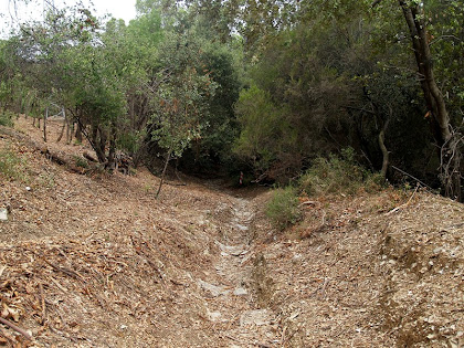 Corriol de pujada a la torre de guaita del Puig de la Guàrdia Corriol de pujada a la torre de guaita del Puig de la Guàrdia