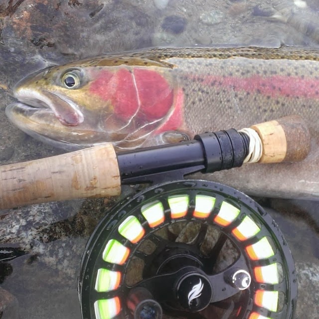 Tight Lined Tales of a Fly Fisherman Fly Product...The Allen Fly