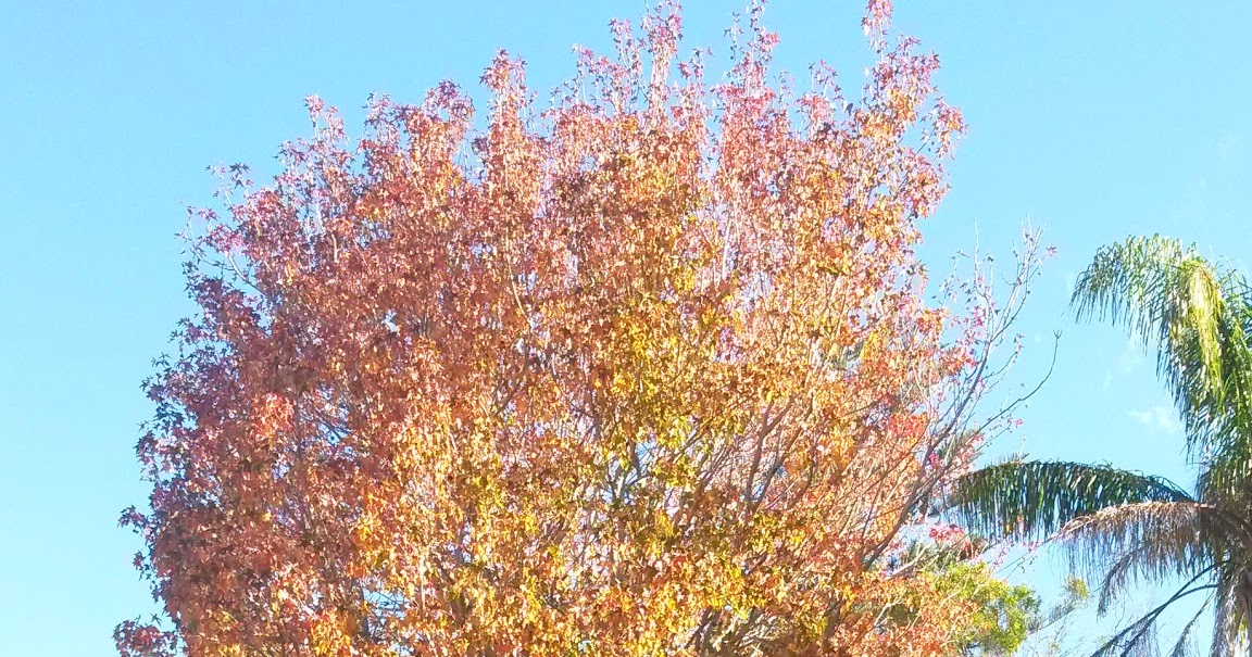 Creative Endeavours Fun and Fast Hot Water Bottle Covers