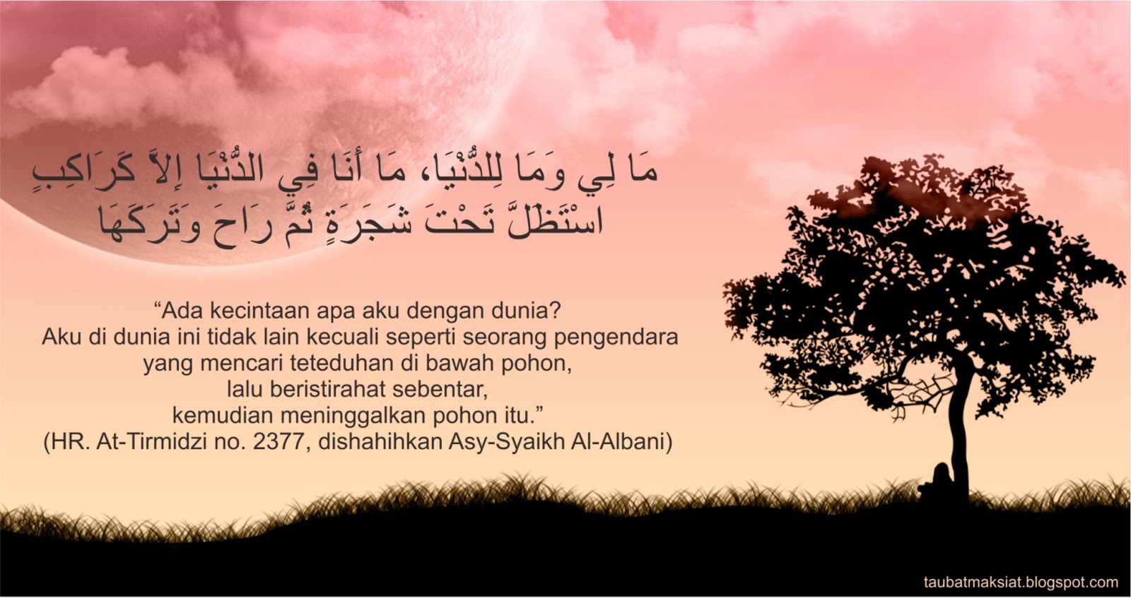 Wallpaper Hadist Islam 3: HIdup Seperti Pengendara Istirahat Sejenak