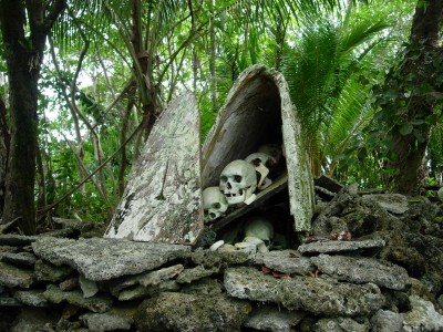 Skull Island Mermentau River Skull Island Mermentau River