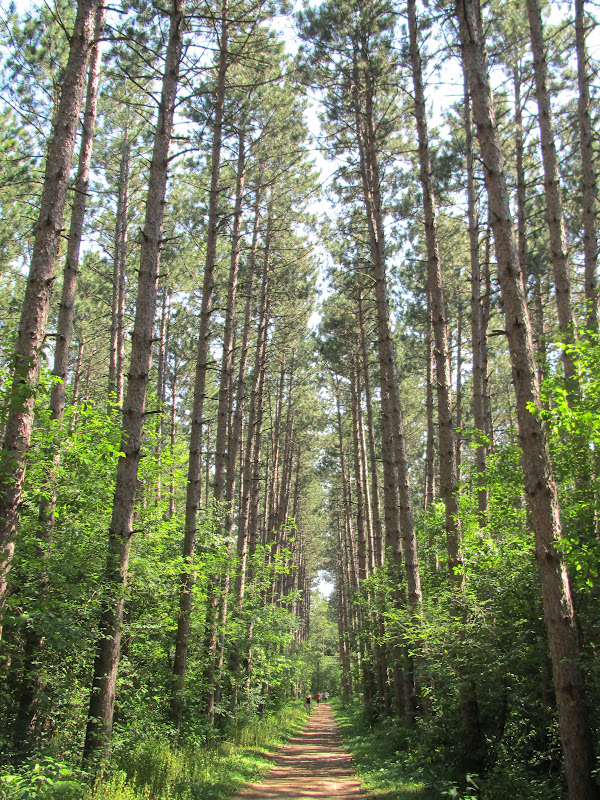 kettle moraine bike trails