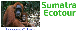 Sumatra Ecotour
