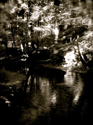 North branch