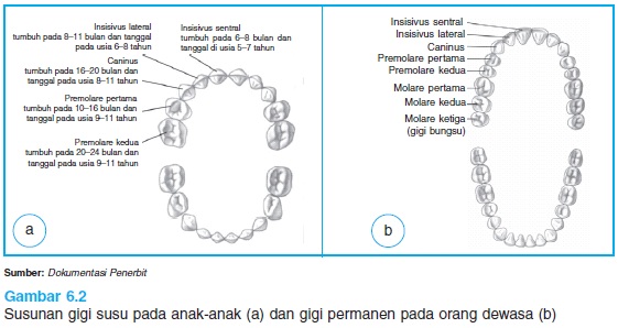 Pandangan Agama, Hukum, Etika dan Medikolegal tentang Abortus Provokatus