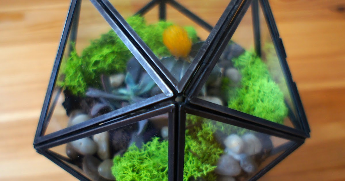 Food. Fashion. Home.: DIY Terrarium