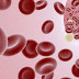 Crean sangre con células madre