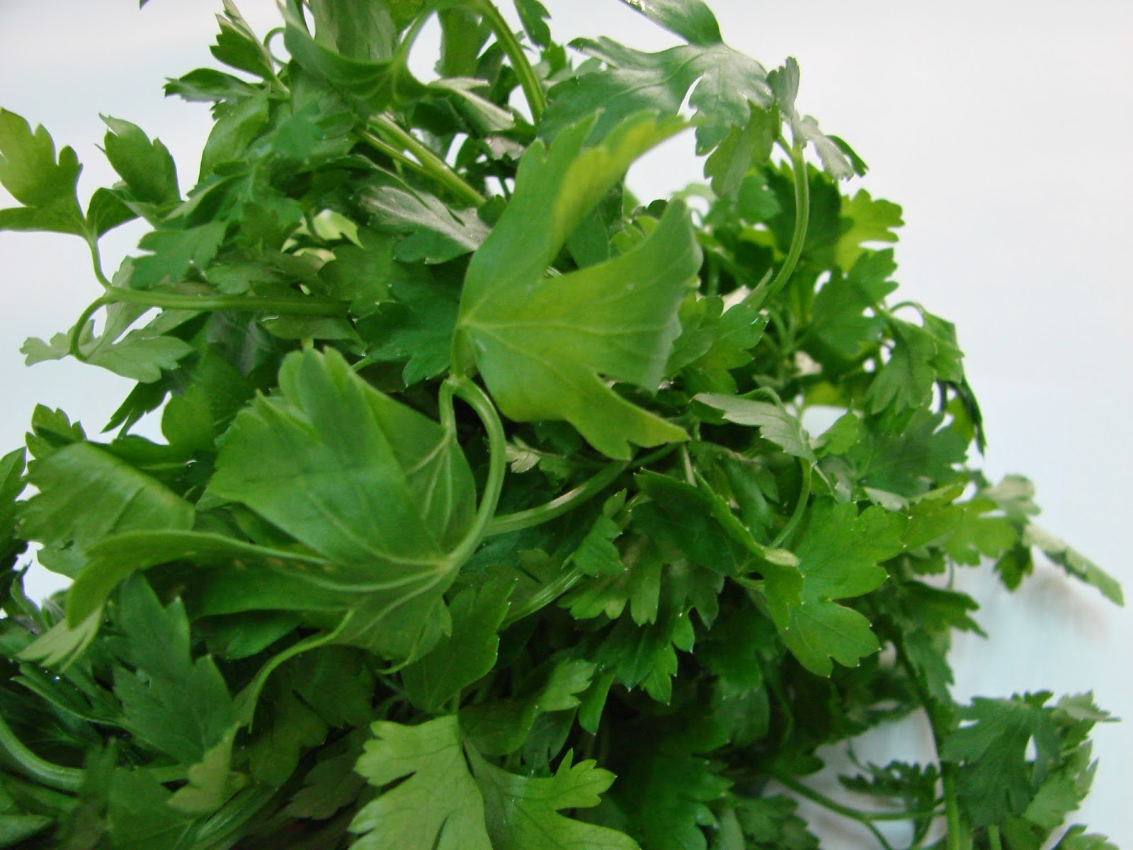 Parsley And Celery In The Fight Against Breast Cancer Natural And Healthy Life Guide With