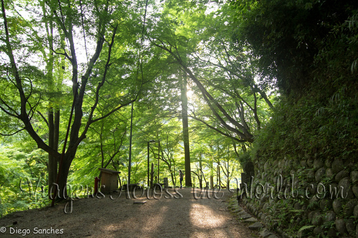 Korankei Park Korankei Park