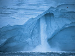 Salvem l'Àrtic