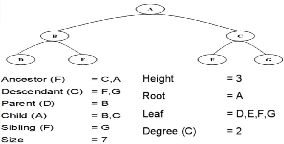 Sistem Informasi Tree Pohon