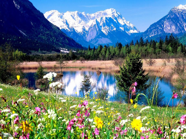 spring mountain landscape hd