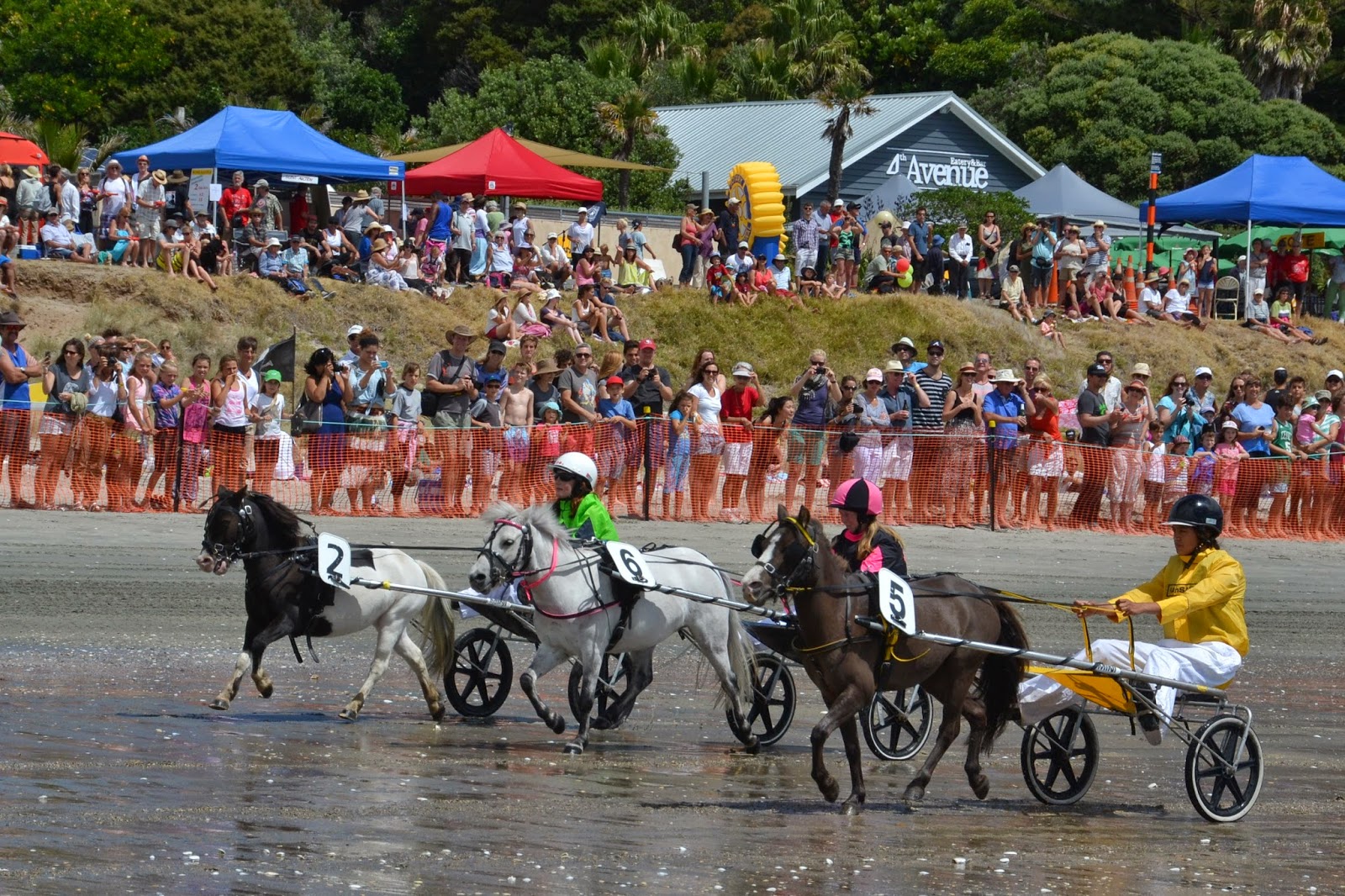 Rotary success stories New Zealand and SW Pacific Beach
