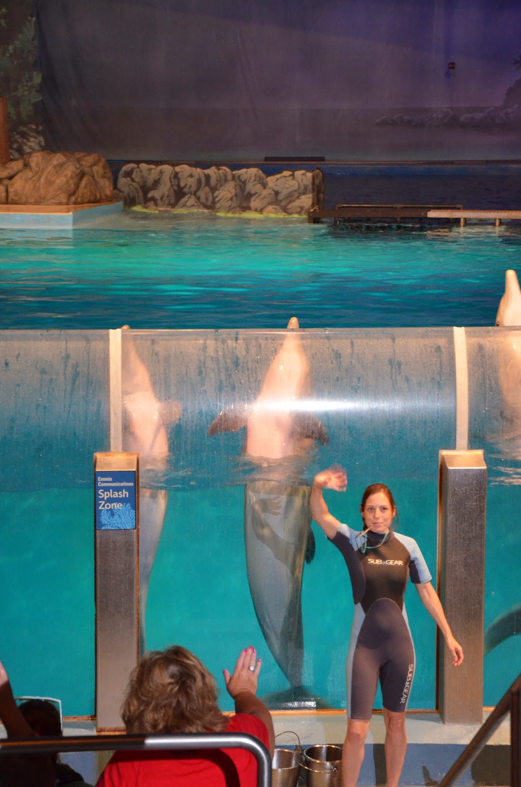 Midwest Family Traveler: Dolphin Shows at Indianapolis Zoo