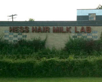 Red building sign reading HESS HAIR MILK LAB