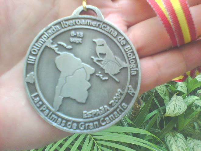 MEDALLA DE PLATA IBEROMERICANA