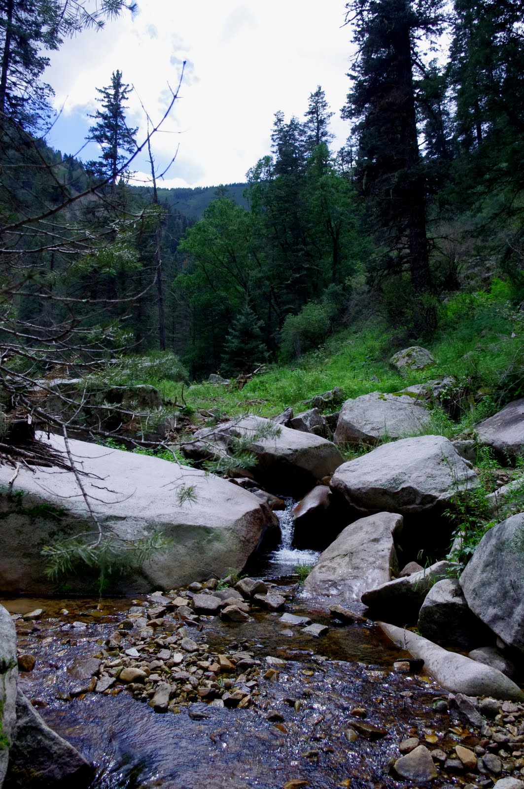 Southern New Mexico Explorer Trail 19 South Fork Bonito CreekLincoln