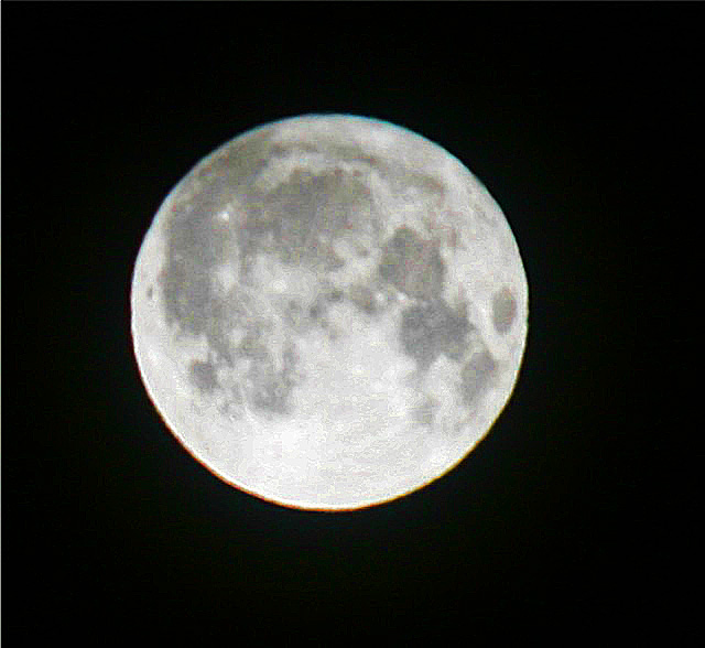 nature tales and camera trails: An Almost Full Moon for Skywatch Friday