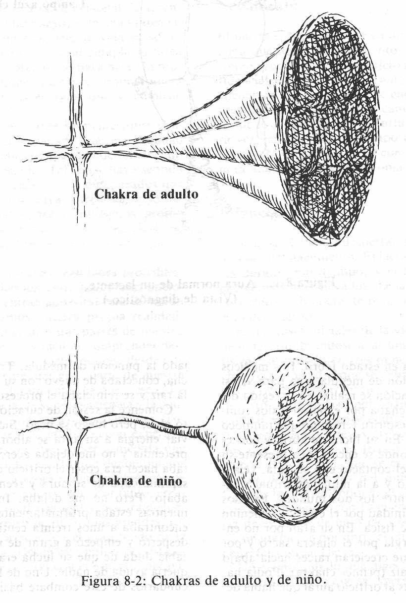 Resultado de imagen de chakras de adulto y de niño