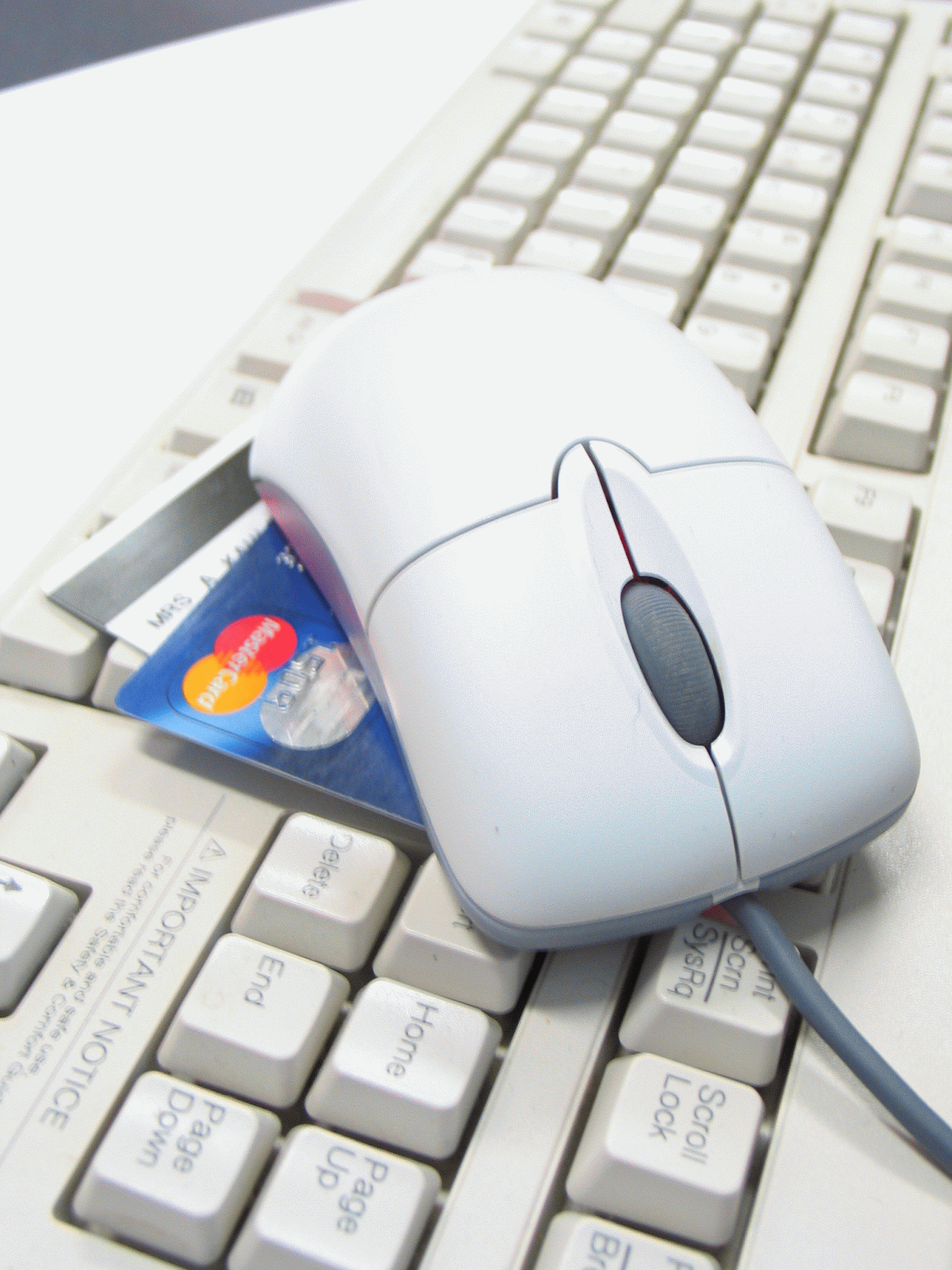 Ecommerce ecommerce