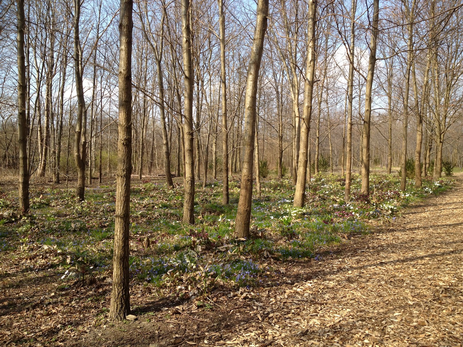 Vi tre & trädgård blogg: april 2012