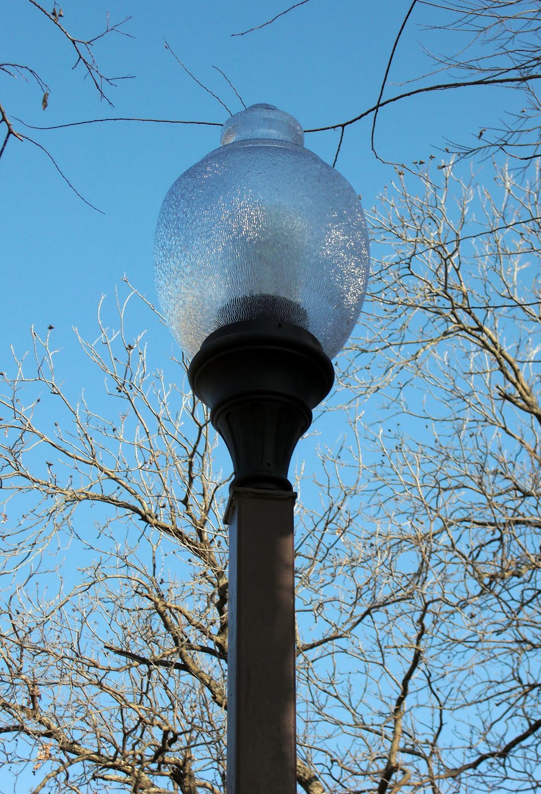 Texas LED Lighting June 2011