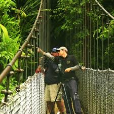 LA FORTUNA  ARENAL VOLCANO NATIONAL PARK AND HANGING BRIDGES GUIDE