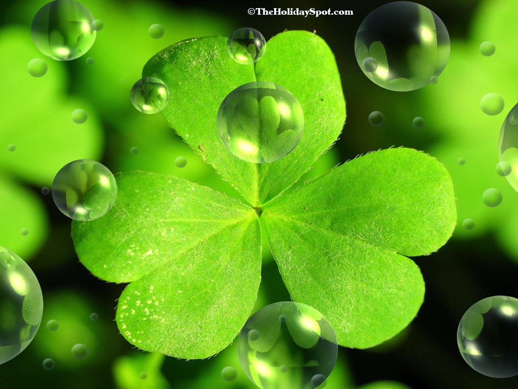 St Patricks Day Wallpapers free Download St Patricks Day Wallpapers free Download