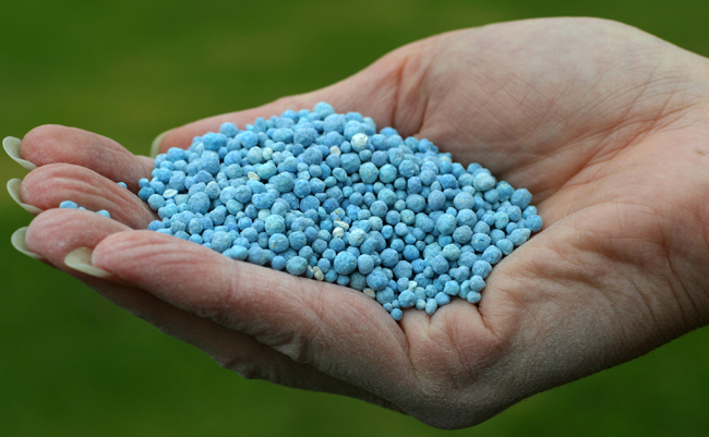 phosphorus in fertilizer