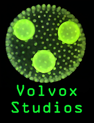 Volvox Studios