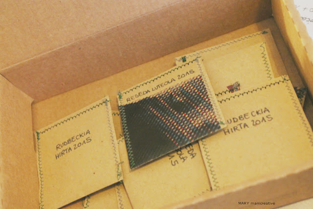 workshop-filiera-della-lana