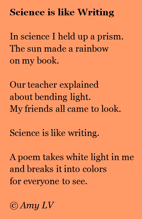 essays of poems essays of poems