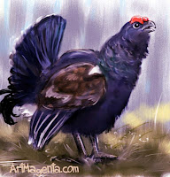 Black Grouse is a bird painting by ArtMagenta