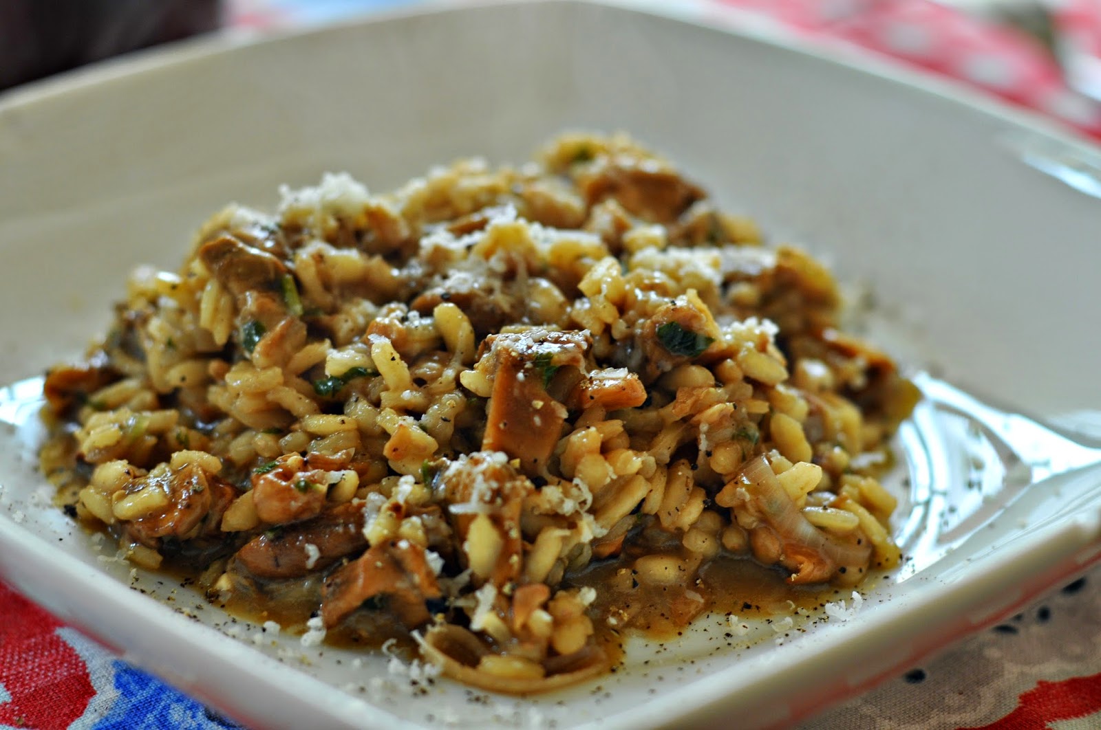 KUCHNIA W KAMIENNYM DOMU Risotto z grzybami i orzechami