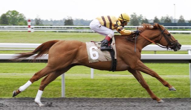 WISE DAN