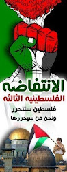 Solidarity for Palestine