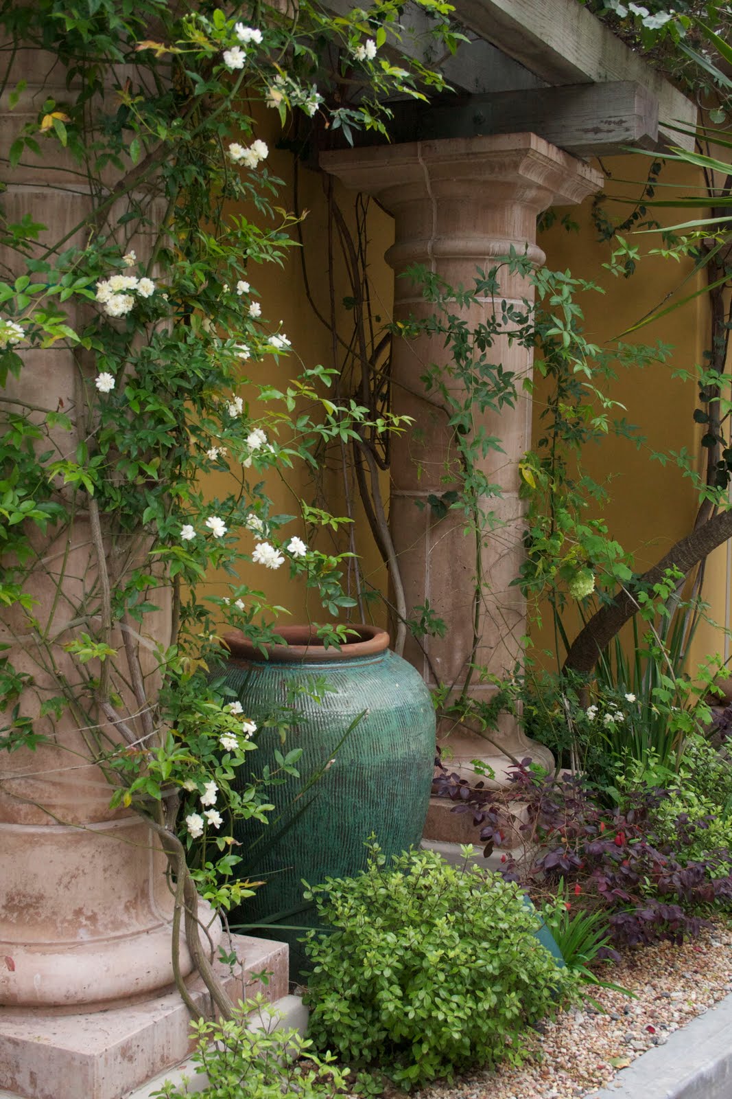 The Gardens of Petersonville Lady Banks Blooms