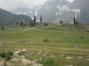 Sonamarg with its Alpine vegetation and ice glaciers.