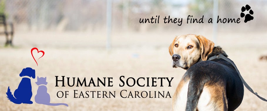 Humane Society of Eastern Carolina