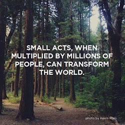 Small Acts...
