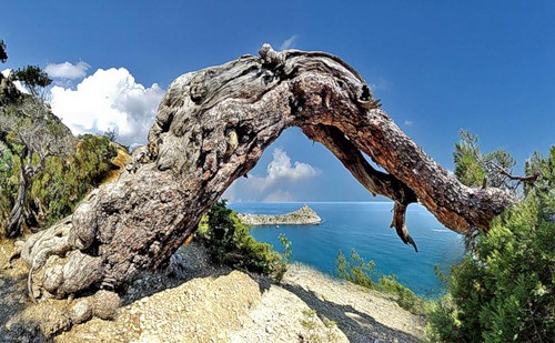 Дракон в Крыму