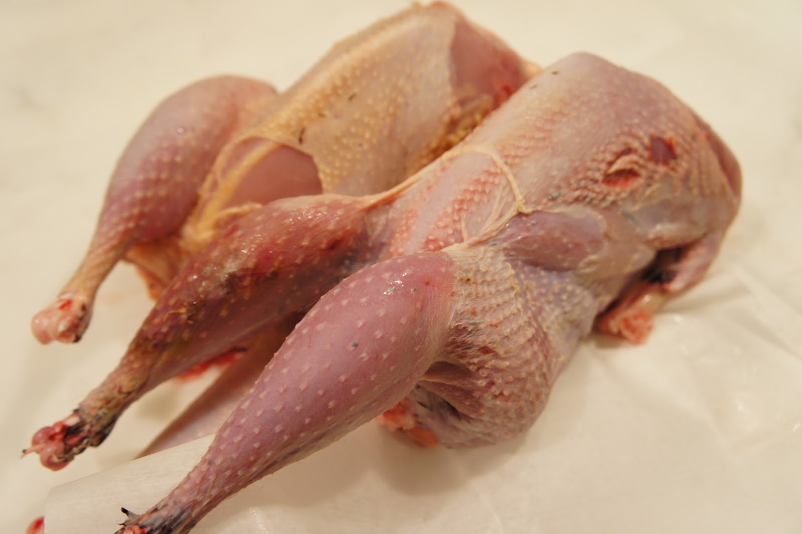 Pheasant Ragu Risotto with Shiitake Mushrooms and Arugula